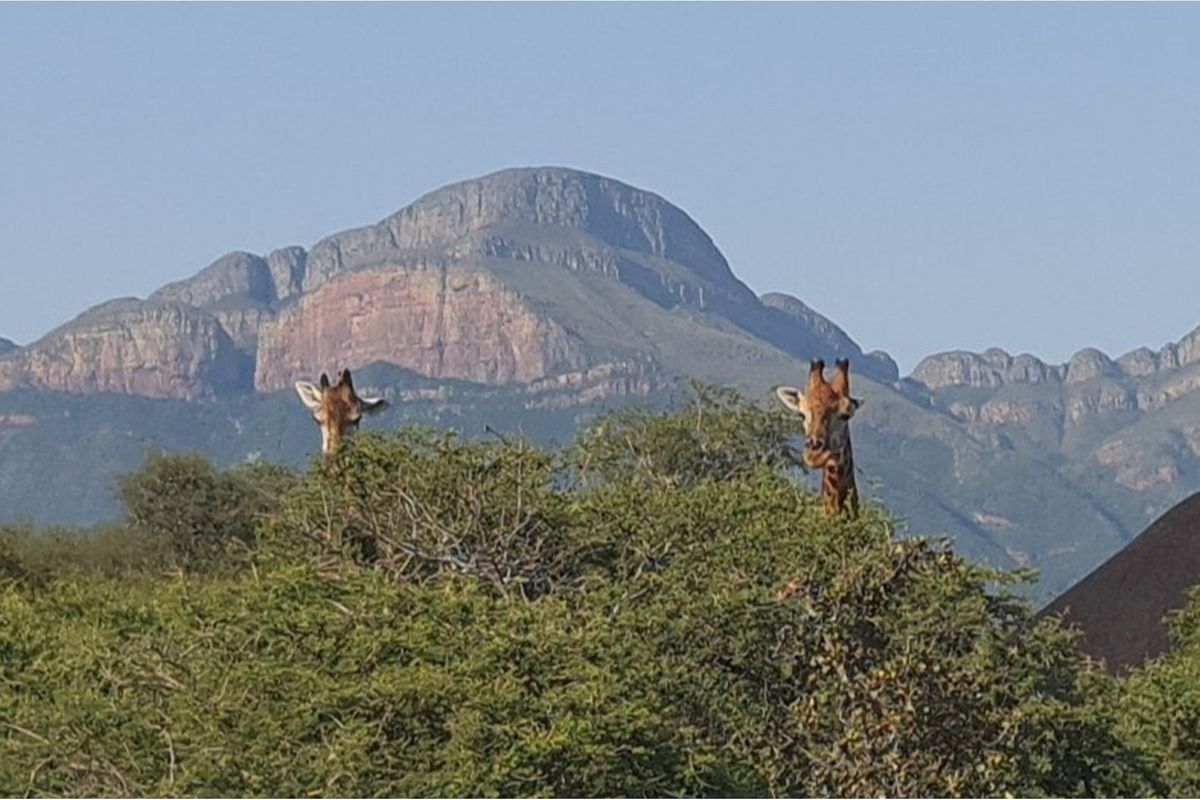 A scenic view of the surrounding landscape featuring natural vegetation and mountain vistas.