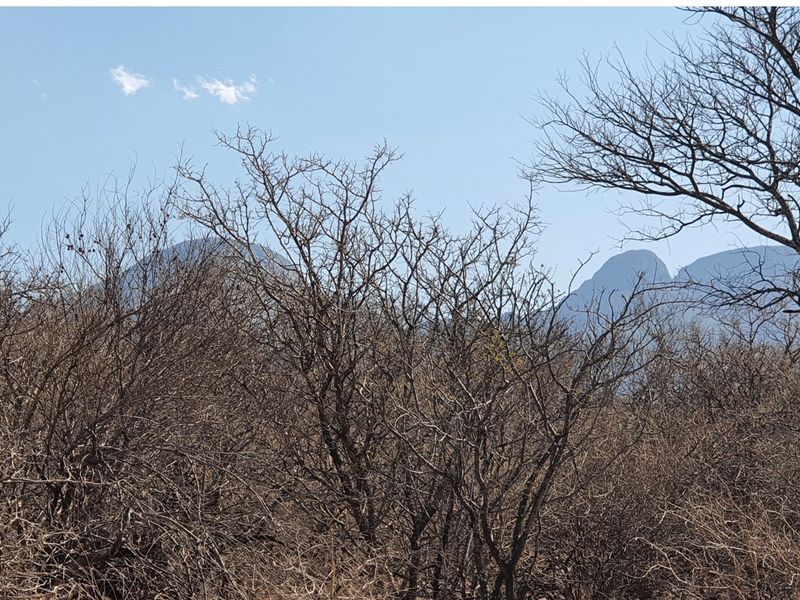 A scenic view of the surrounding mountain landscape and natural vegetation.