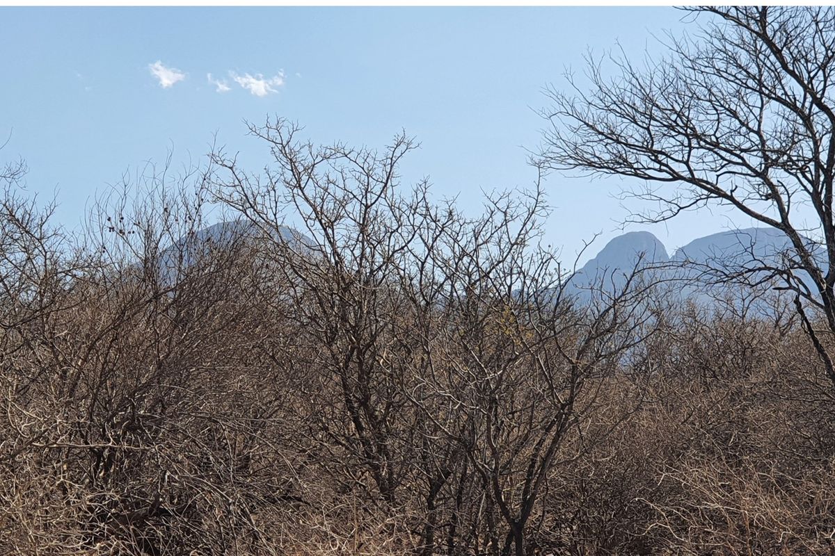A scenic view of the surrounding mountain landscape and natural vegetation.