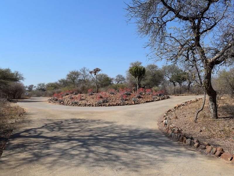 A paved driveway approach featuring a landscaped central rockery island with indigenous plants and trees in a natural bushveld setting.