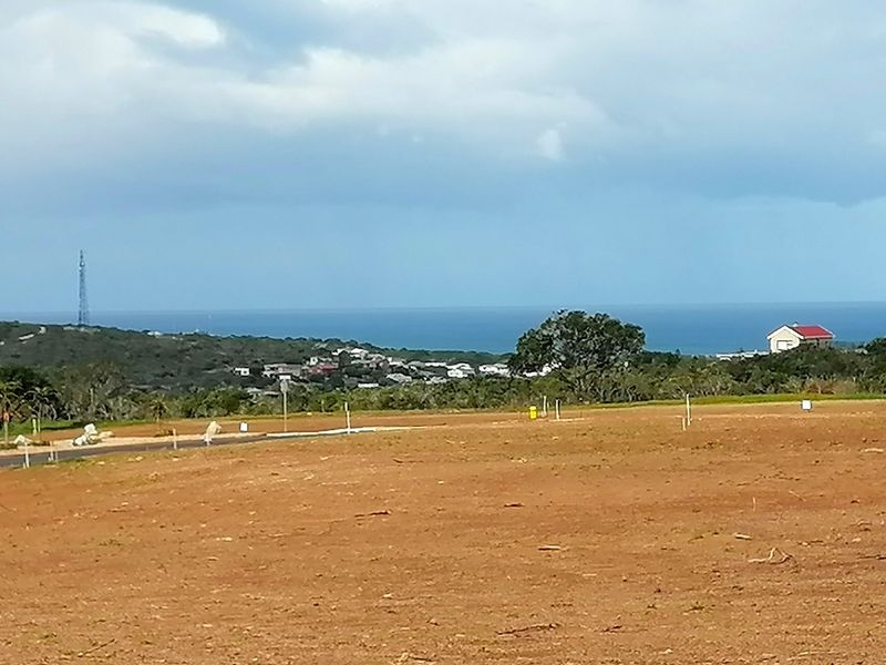 Platteboschkloof Estate in Stilbaai wes now selling - Photo 2