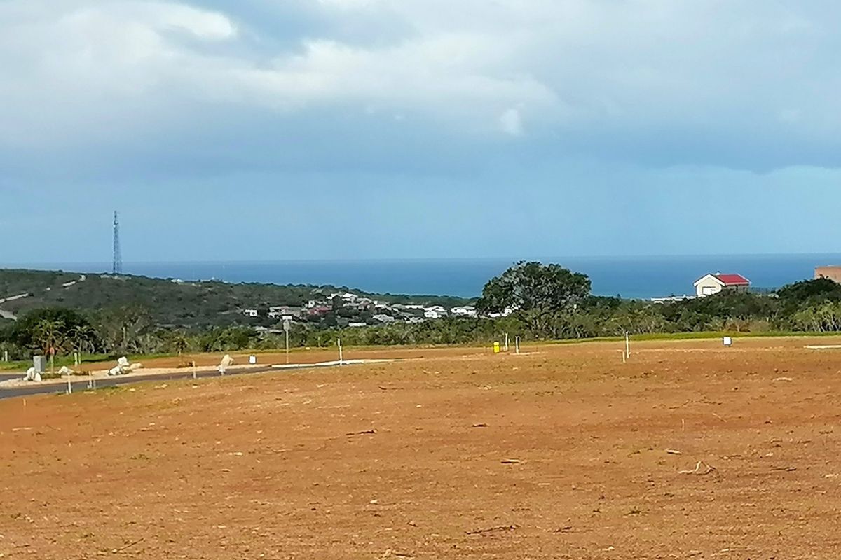 Platteboschkloof Estate in Stilbaai wes now selling - Photo 2