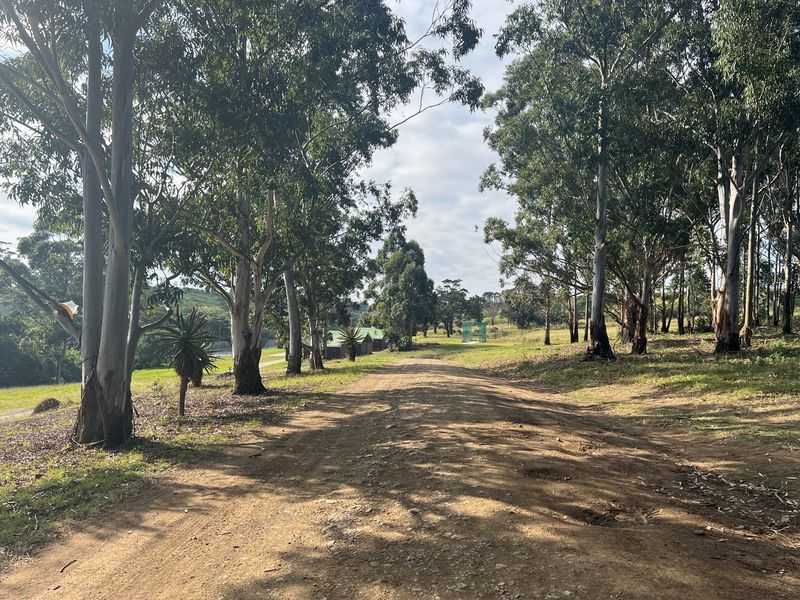 Country Living At It's Best! - Photo 1