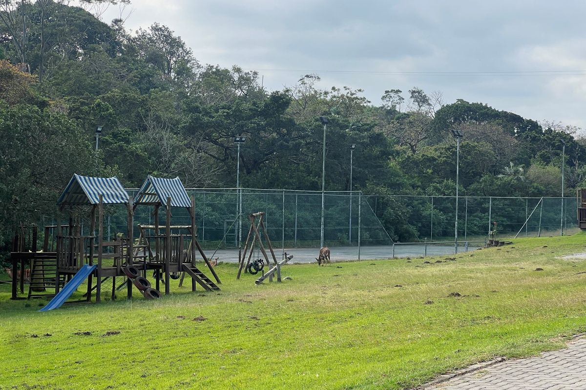 Country Living At It's Best! - Photo 5