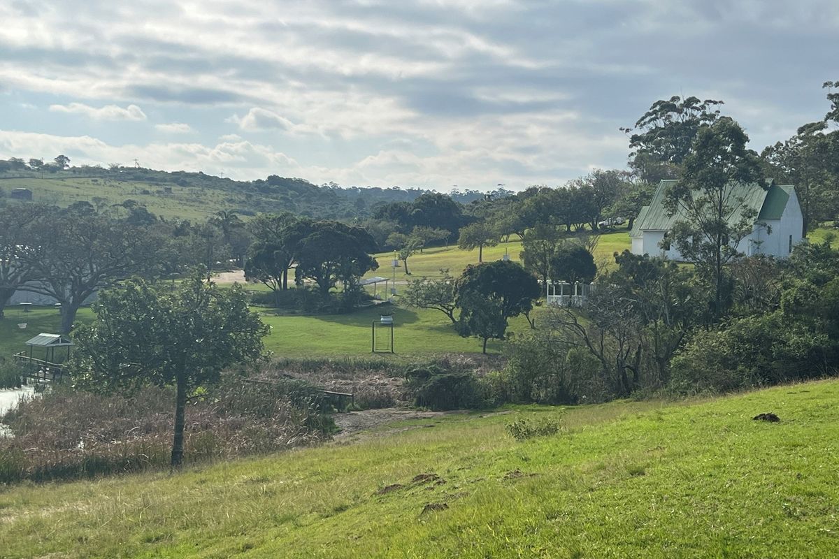 Country Living At It's Best! - Photo 4