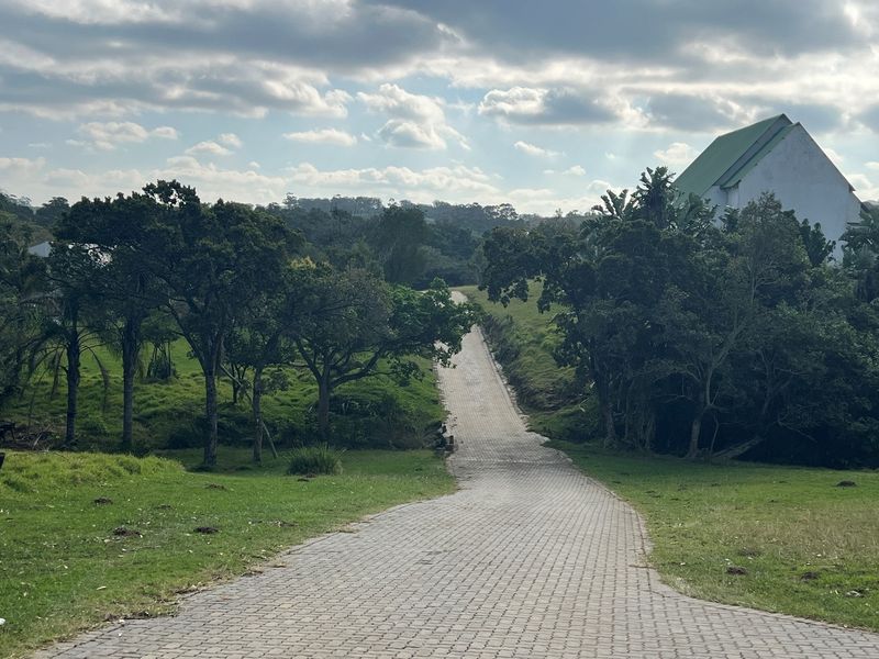 A paved driveway leading through a lush, green residential landscape with mature trees and surrounding vegetation.