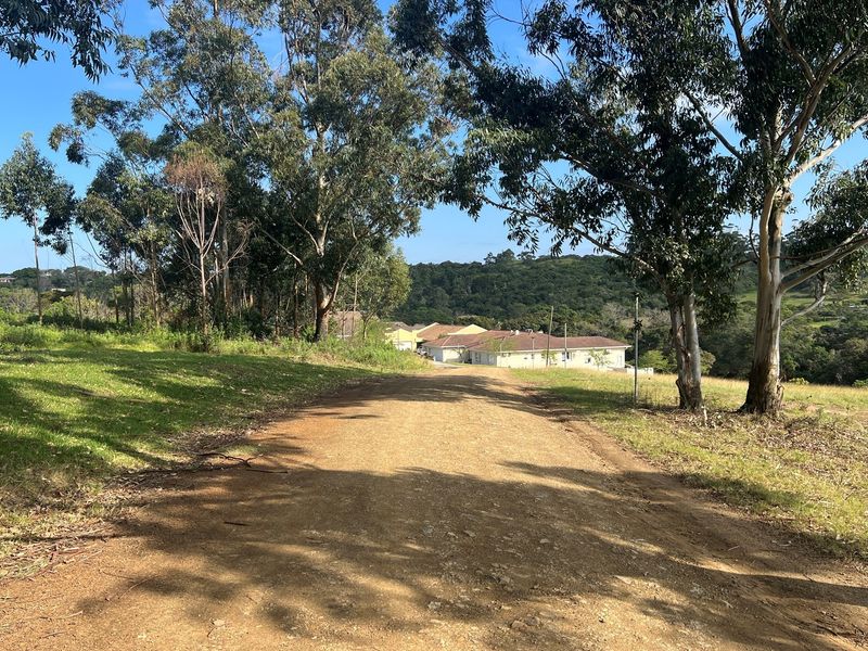 A view of a dirt access road leading towards residential buildings, surrounded by mature trees and natural landscape.
