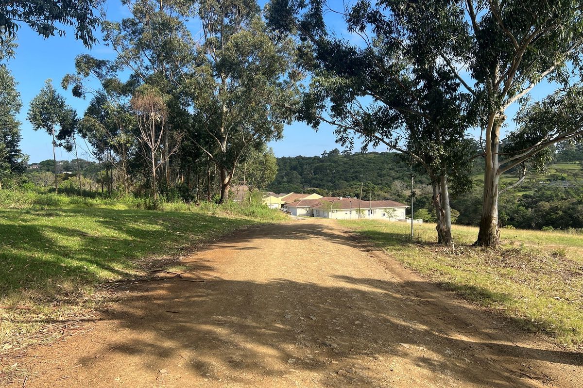 A view of a dirt access road leading towards residential buildings, surrounded by mature trees and natural landscape.