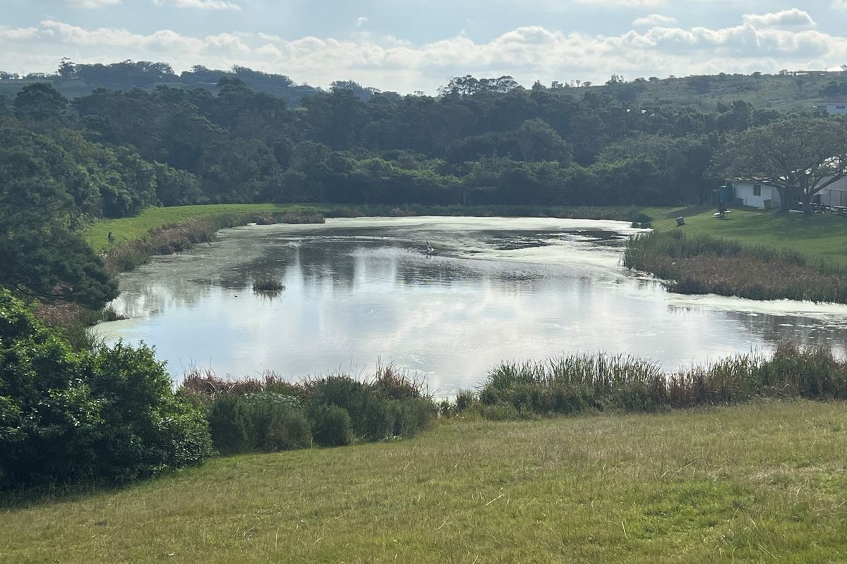 A scenic view of a natural pond surrounded by lush greenery and trees on a vacant residential property.