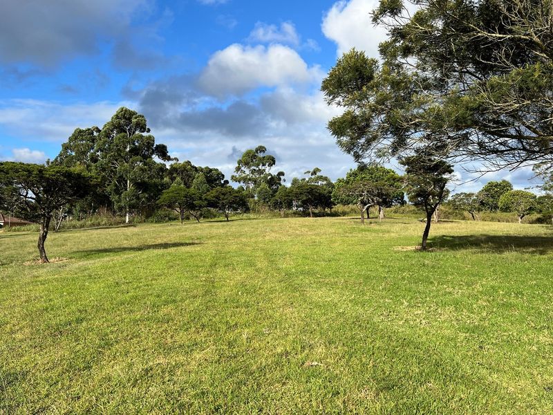 A view of a spacious, well-maintained vacant residential plot featuring established trees and open grassy areas.