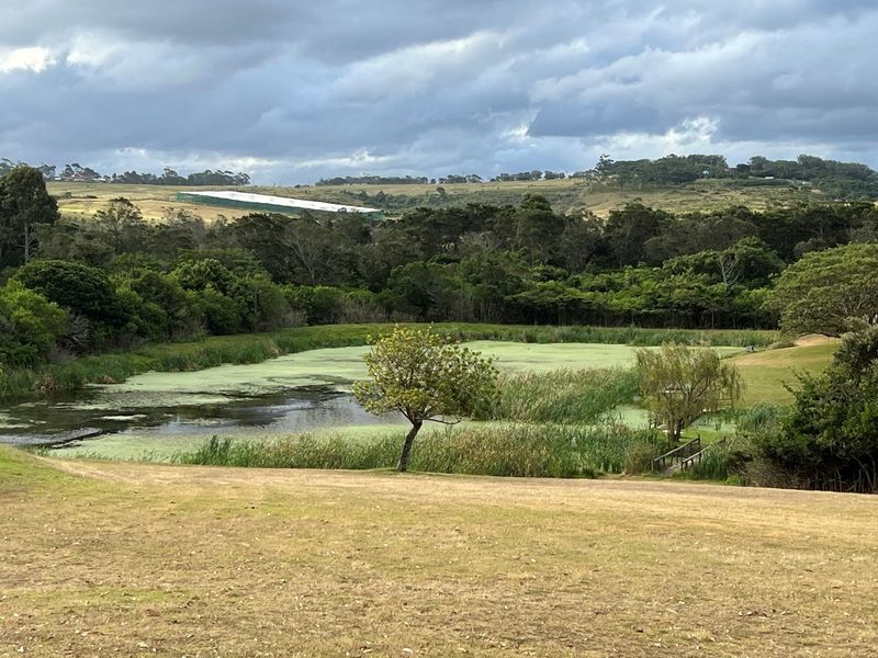 A scenic view of a natural pond and surrounding landscape, featuring lush greenery and rolling hills in a peaceful residential setting.
