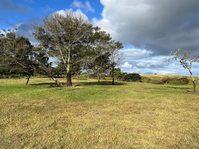 A view of the vacant residential land featuring open grassy terrain and mature trees under a partly cloudy sky.