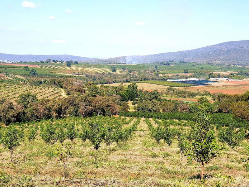 Expansive view over the farm property, showcasing established orchards, rolling hills, and agricultural landscape under a clear sky.