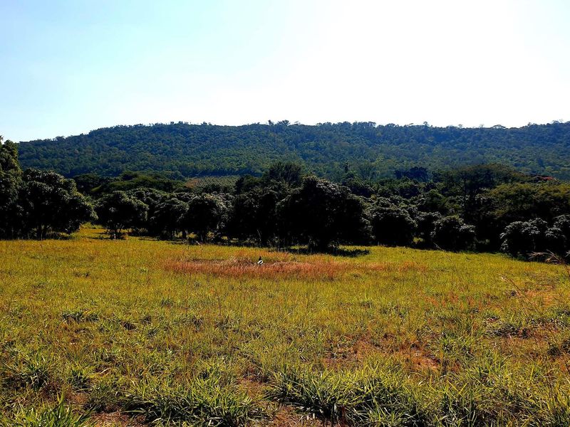 A scenic view of the expansive farm landscape featuring rolling hills, lush green trees, and open grassy fields under a clear sky.