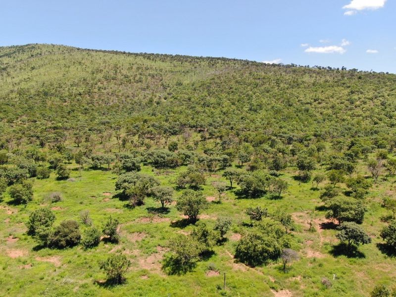 Once in a lifetime opportunity to acquire sought after game farm land in the Golden Mile, Bela Bela - Photo 7