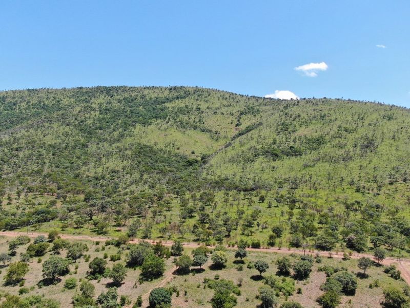 Once in a lifetime opportunity to acquire sought after game farm land in the Golden Mile, Bela Bela - Photo 6