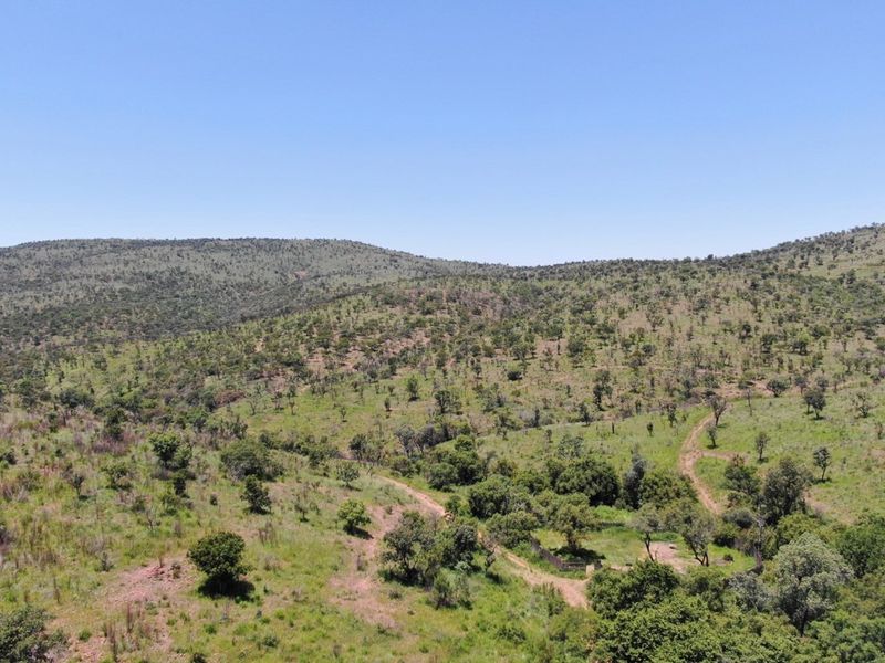 Once in a lifetime opportunity to acquire sought after game farm land in the Golden Mile, Bela Bela - Photo 2