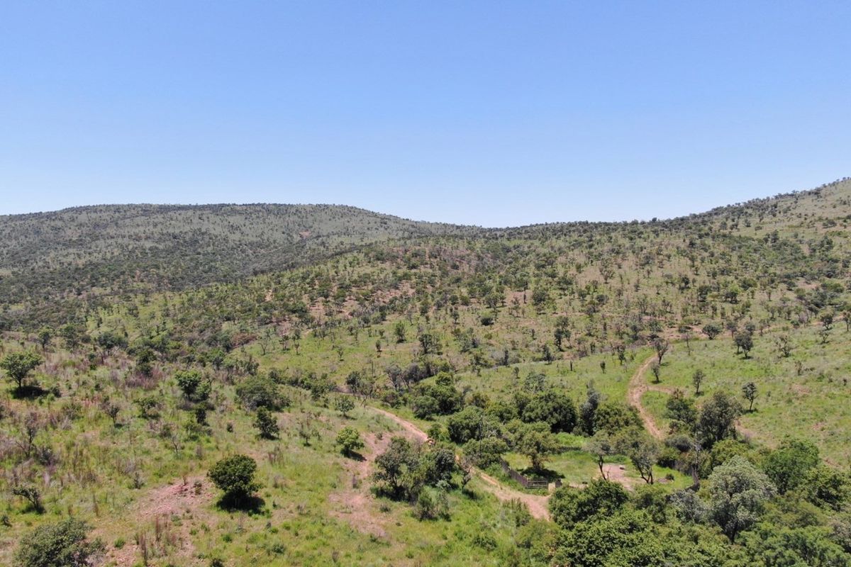 Once in a lifetime opportunity to acquire sought after game farm land in the Golden Mile, Bela Bela - Photo 2