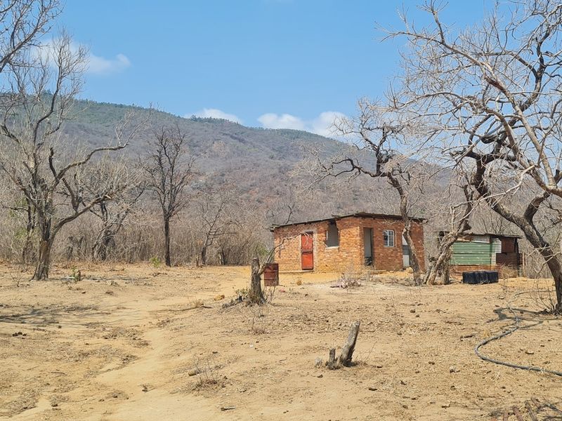 500 Ha Game/Cattle farm in Moketsi for sale - Photo 6