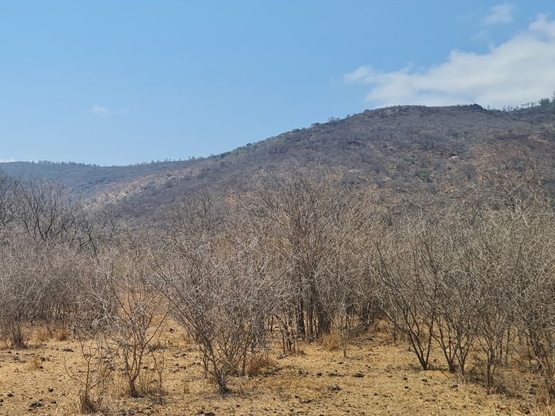 500 Ha Game/Cattle farm in Moketsi for sale - Photo 5