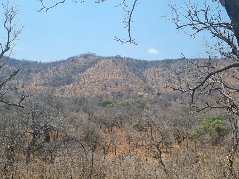 500 Ha Game/Cattle farm in Moketsi for sale - Photo 1