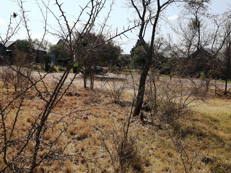 North-facing, 402 sqm corner stand, with some view to green area. - Photo 5