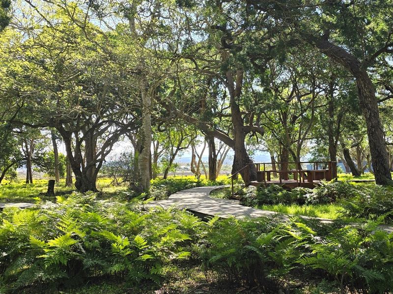 Elegant Eco-Living Amidst Nature’s Finest Canvas - Photo 3