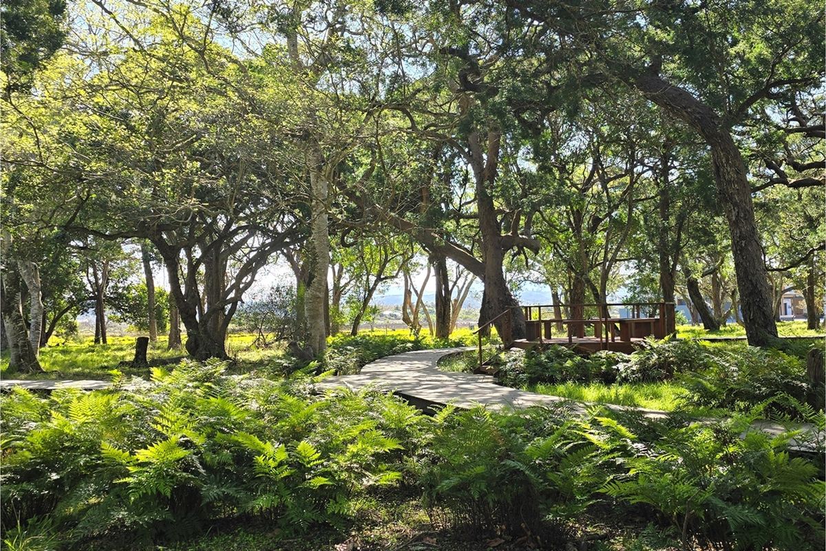 Elegant Eco-Living Amidst Nature’s Finest Canvas - Photo 3