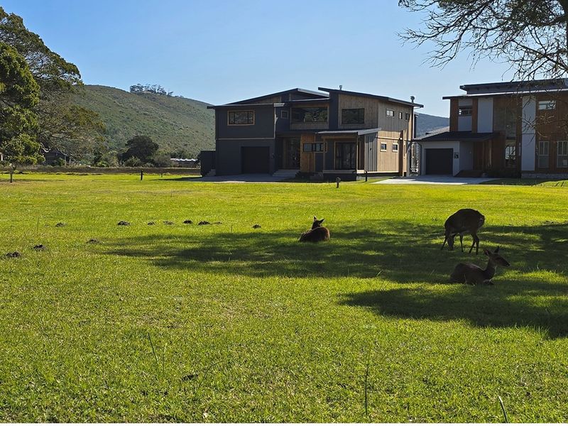 Elegant Eco-Living Amidst Nature’s Finest Canvas - Photo 5