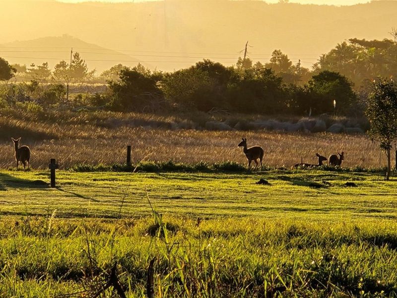 Elegant Eco-Living Amidst Nature’s Finest Canvas - Photo 10
