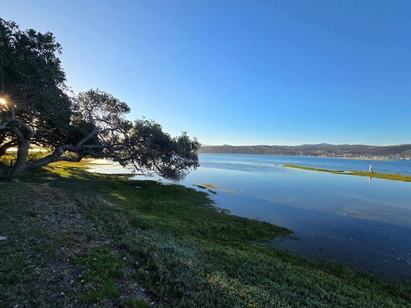 Elegant Eco-Living Amidst Nature’s Finest Canvas - Photo 9