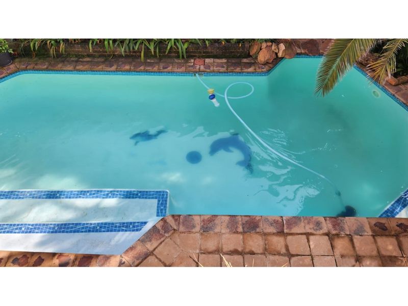 Stylish 4-Bedroom Double-Storey Entertainer’s Home in Deneysville - Photo 2