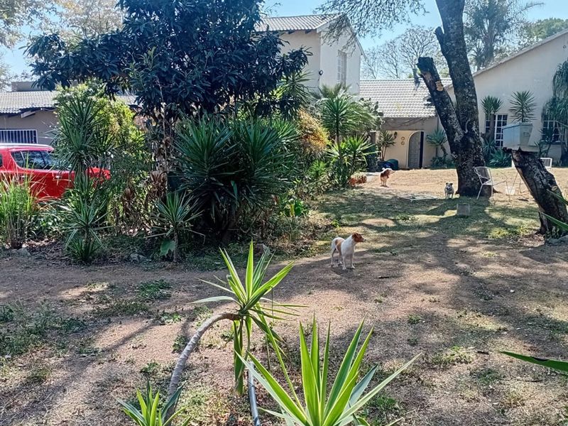 Exceptional Investment Opportunity - Photo 5