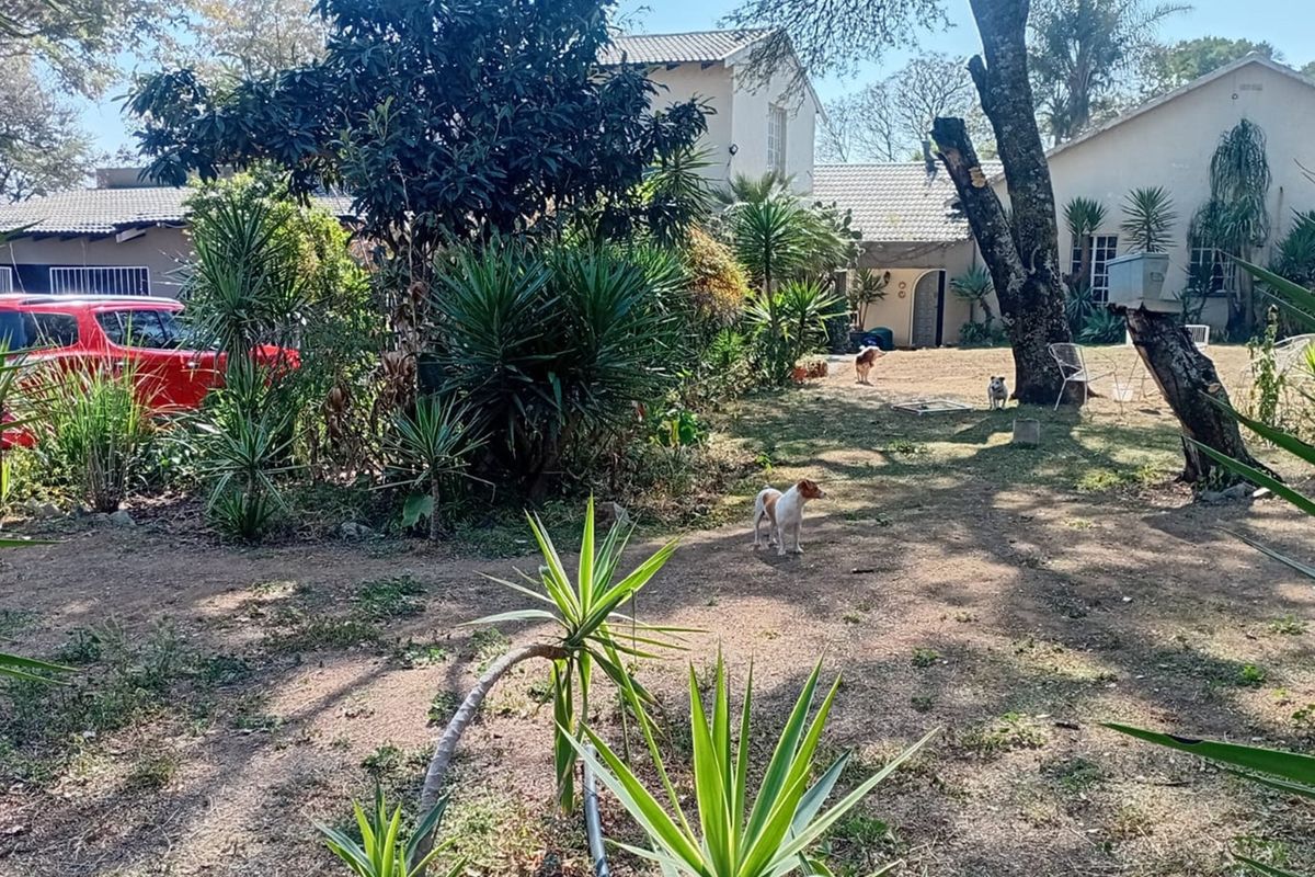 Exceptional Investment Opportunity - Photo 5