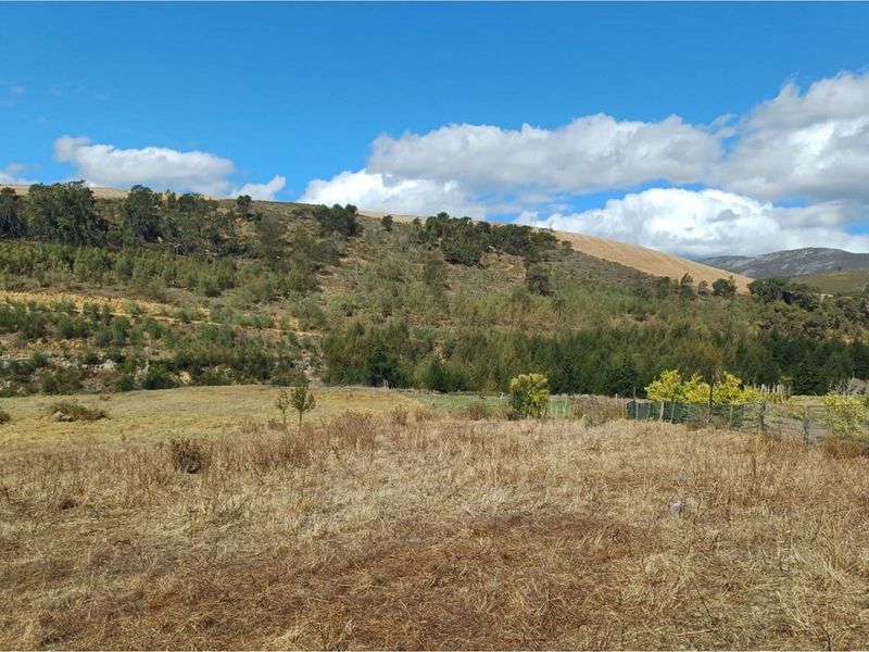 Vacant 2811m2 land for sale near Tesselaarsdal - Photo 1