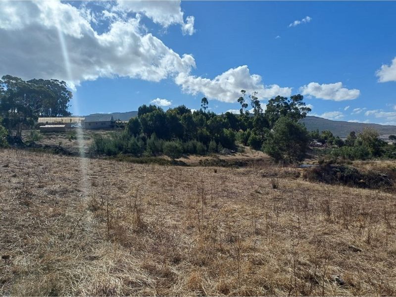 Vacant 2811m2 land for sale near Tesselaarsdal - Photo 6