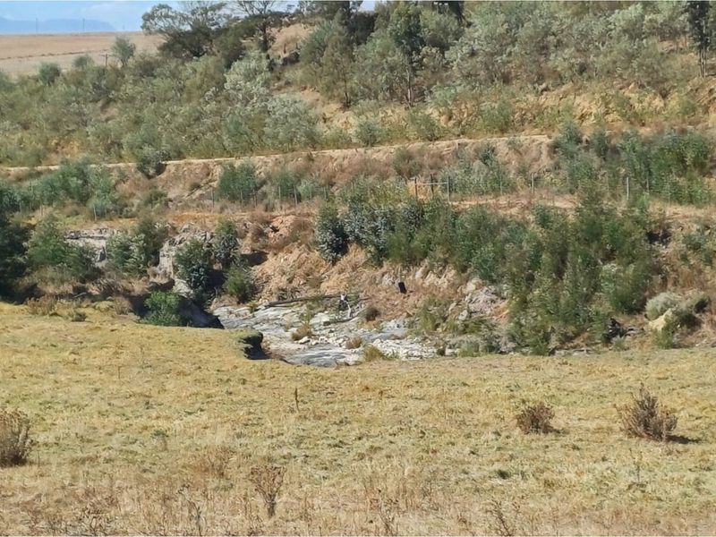 Vacant 2811m2 land for sale near Tesselaarsdal - Photo 4