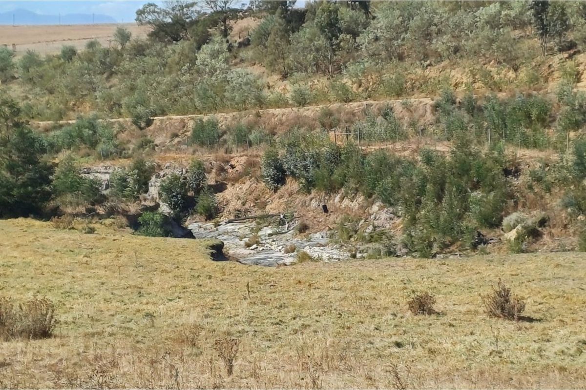 Vacant 2811m2 land for sale near Tesselaarsdal - Photo 4