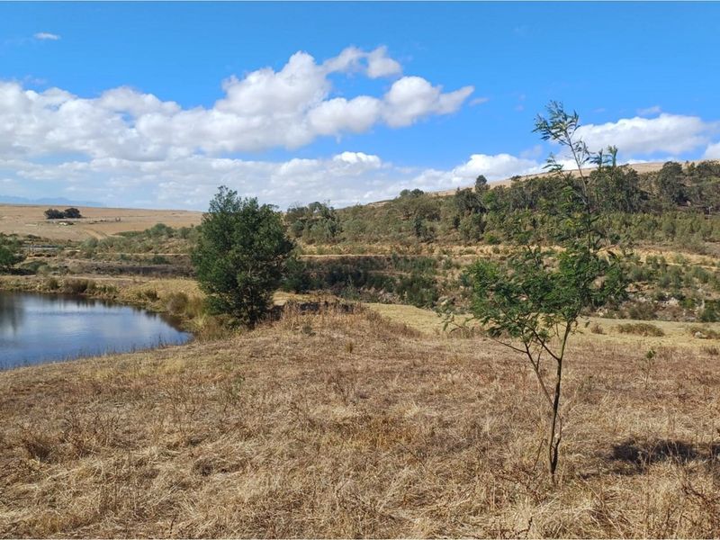 Vacant 2811m2 land for sale near Tesselaarsdal - Photo 2