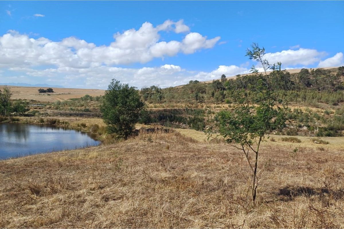 Vacant 2811m2 land for sale near Tesselaarsdal - Photo 2