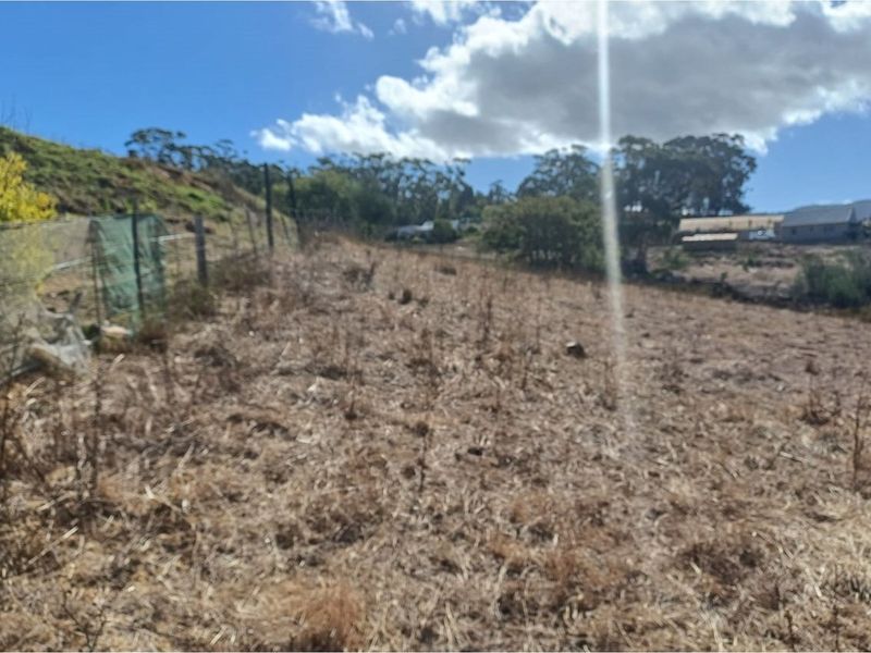Vacant 2811m2 land for sale near Tesselaarsdal - Photo 5