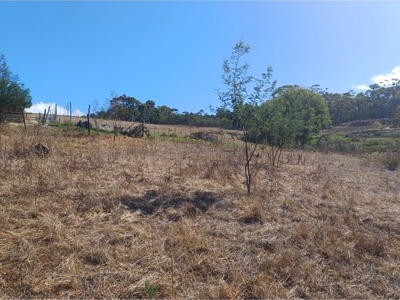 Vacant 2811m2 land for sale near Tesselaarsdal - Photo 9