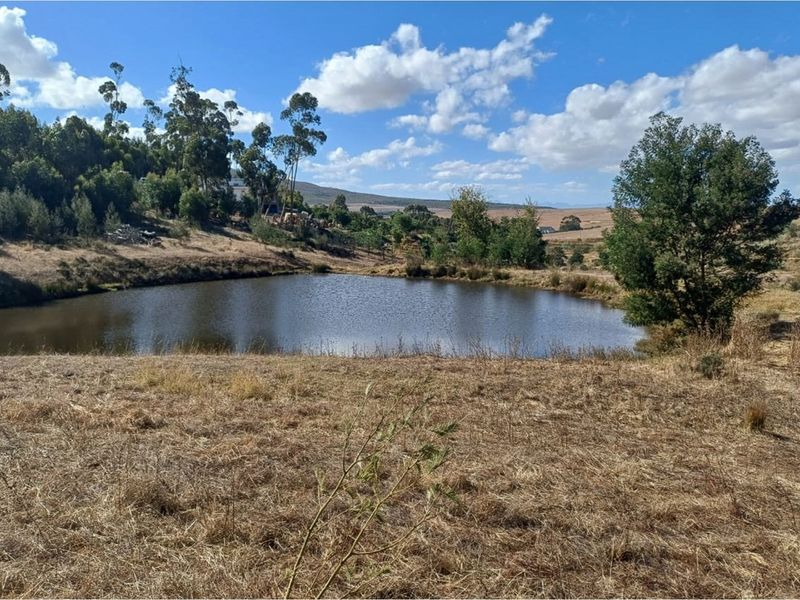 Vacant 2811m2 land for sale near Tesselaarsdal - Photo 8