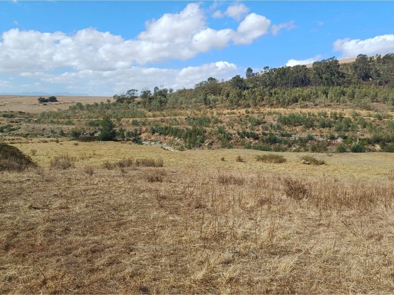Vacant 2811m2 land for sale near Tesselaarsdal - Photo 3