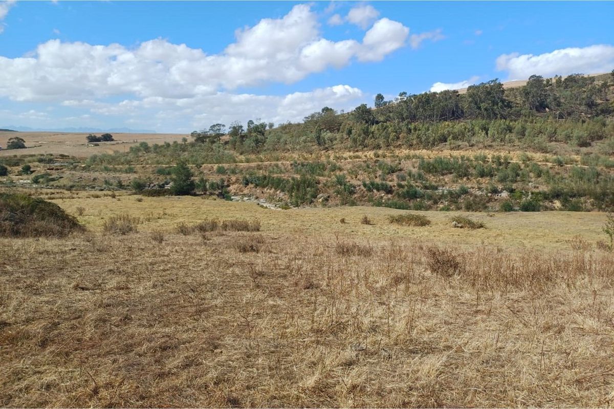 Vacant 2811m2 land for sale near Tesselaarsdal - Photo 3