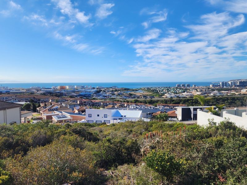 A scenic elevated view overlooking the surrounding residential neighborhood and distant coastline, showcasing the expansive landscape potential of this vacant residential property.