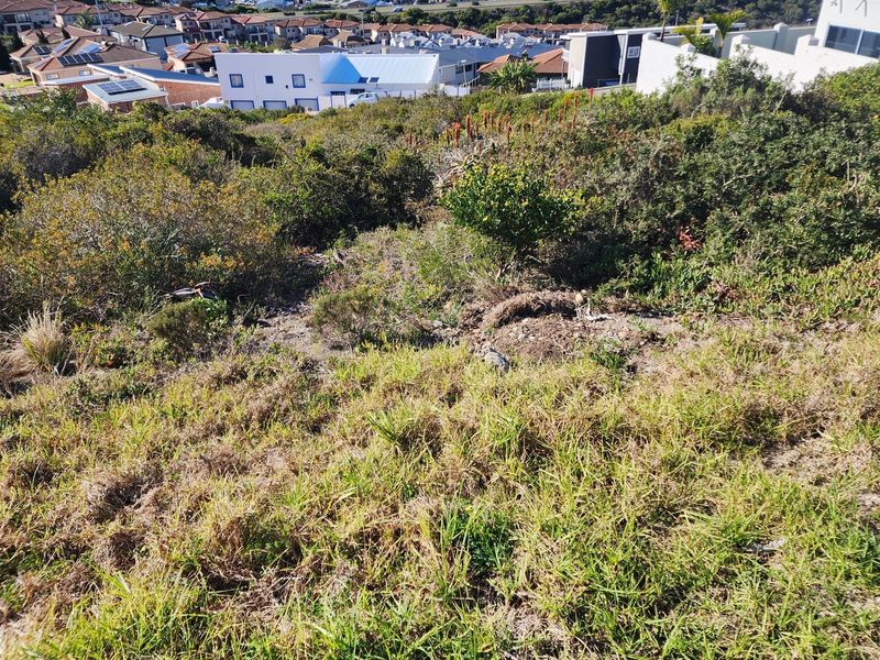 A sloped vacant residential plot featuring natural vegetation and surrounding suburban development, offering potential for a custom home build.