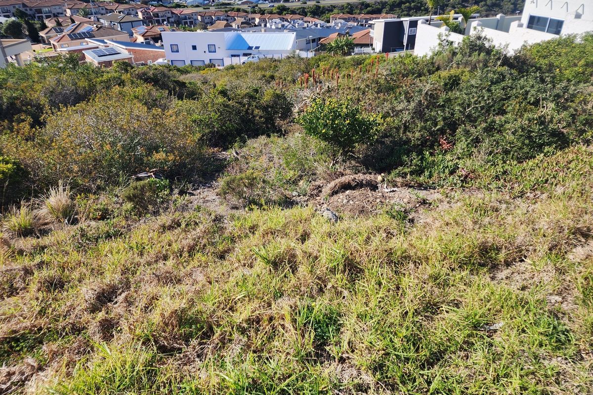 A sloped vacant residential plot featuring natural vegetation and surrounding suburban development, offering potential for a custom home build.