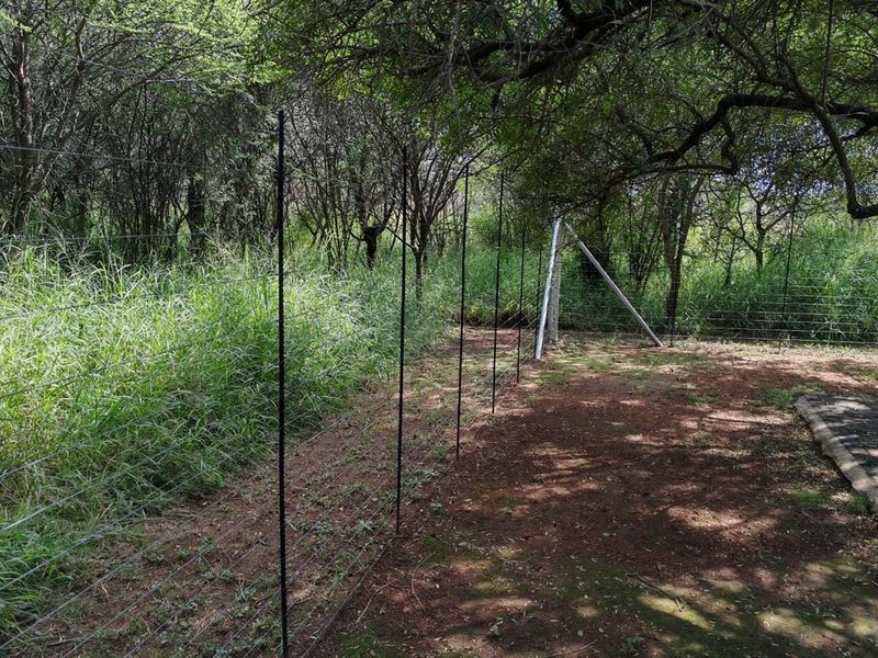 Charming 4-Bedroom Smallholding For Sale - Your Ideal Weekend Breakaway or Holiday Farm - Photo 9