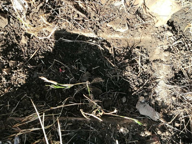 ORANJEVILLE * WATERFRONT * R120 000,00 * 1006sqm * Vacant Land * Dam view - Photo 7